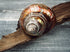 copper turbo seashell
